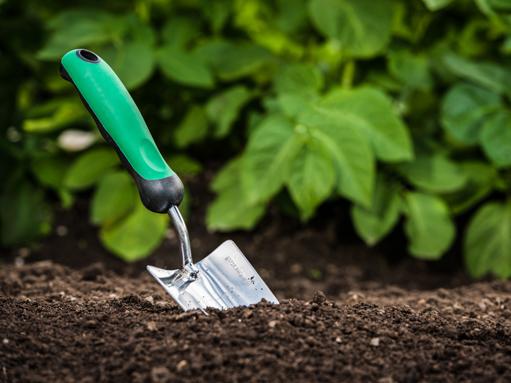 Gardening